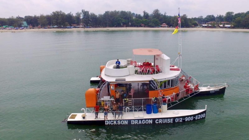 Dickson Dragon
