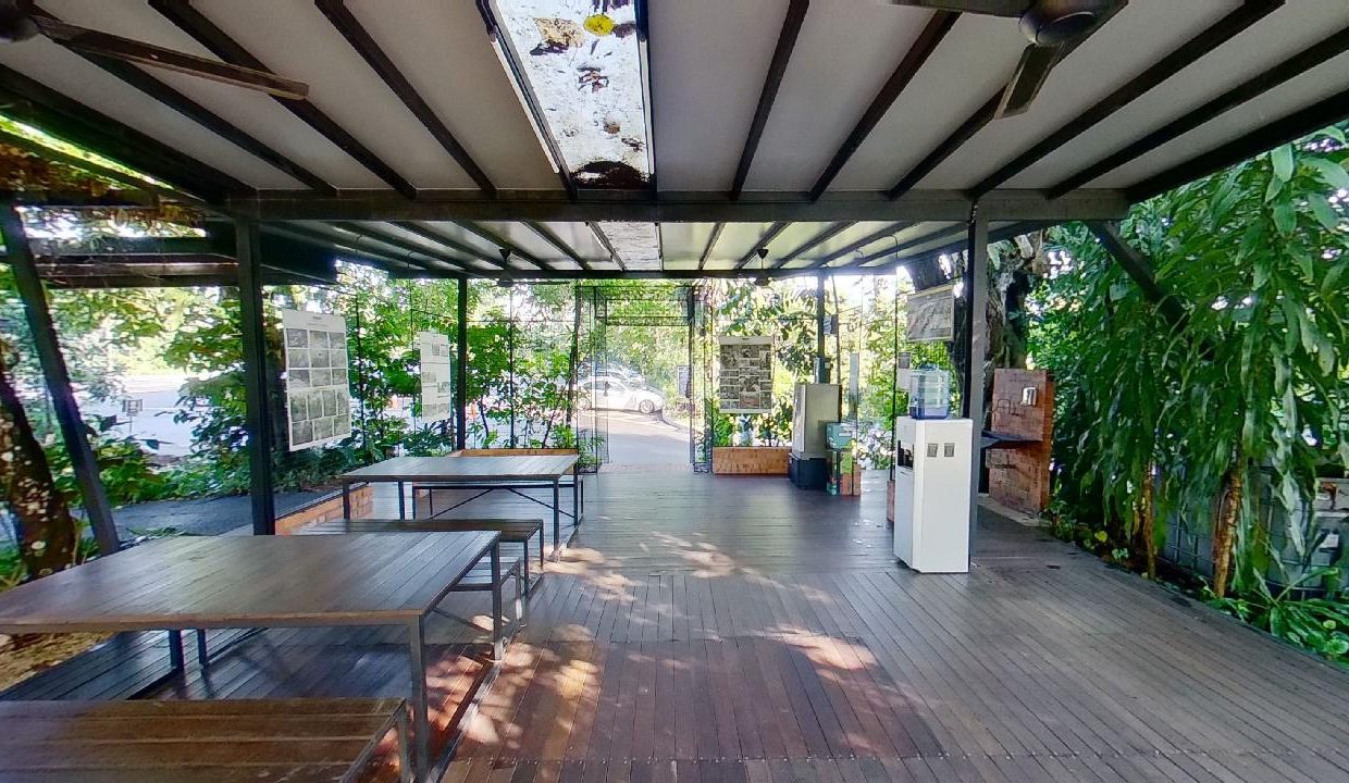 Taman-Tugu-Nursery-07242020_105033
